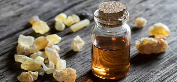 تصویر 2 از خرید جدیدترین انواع روغن معجزه